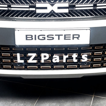 Buchstaben für Dacia Bigster Farbe Weiß (Personalisierung bis zu 12 Buchstaben)
