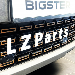 Buchstaben für Dacia Bigster Farbe Weiß (Personalisierung bis zu 12 Buchstaben)