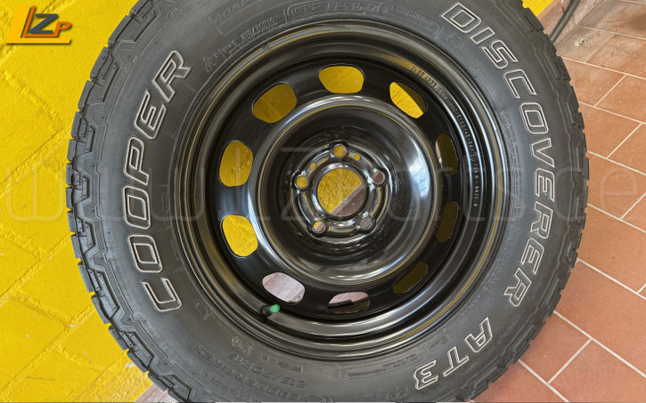 Alcar Stahlrad Dacia Duster III Alcar Stahlrad Dacia Duster III